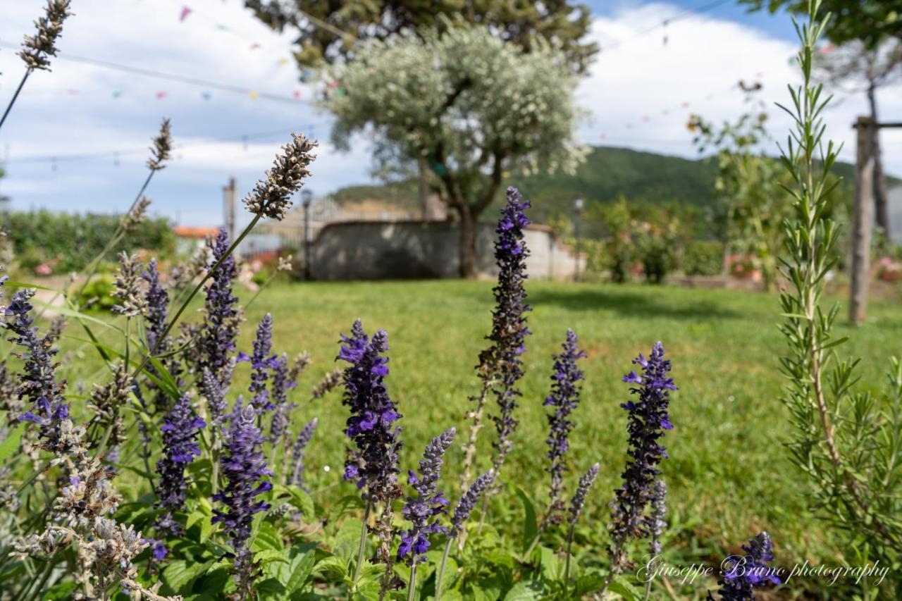 Bed & Breakfast L'antico Mercato Sarconi