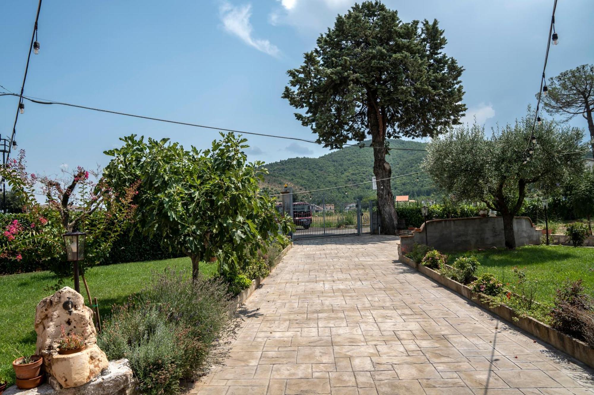 L'antico Mercato Bed & Breakfast